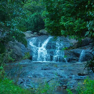 Wild Courtyard Wayanad
